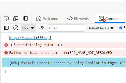 Local InCorrect API Console